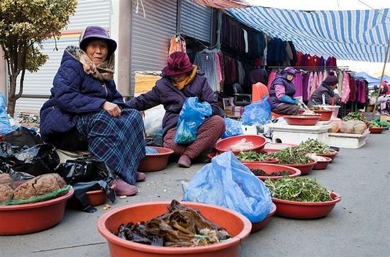 冰雪女王4：魔鏡世界（國語版） 视频封面