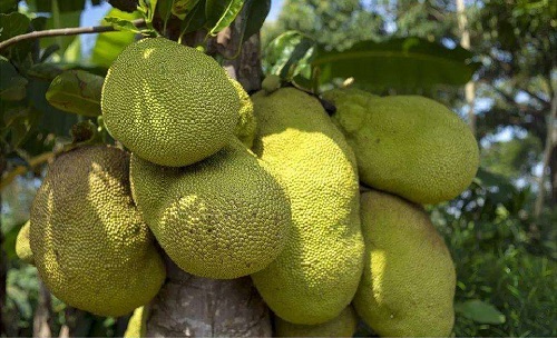 假裝不正經 视频封面