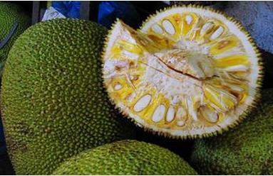 凱撒萬歲 视频封面