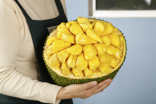 冒牌上流 视频封面