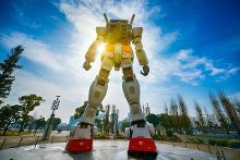 向日葵女孩 视频封面