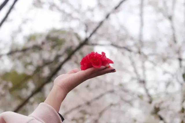 夜空總有最大密度的藍色 视频截图