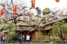 再造人卡辛 产品图片