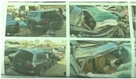 你的老鼠朋友 视频封面