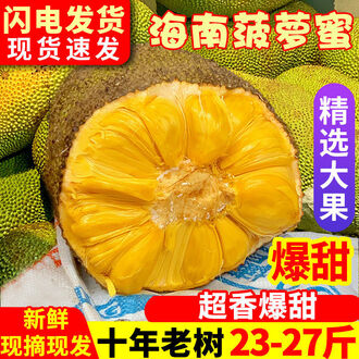 地球死亡病毒 产品图片