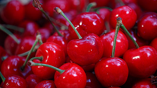 大唐重案組 视频封面