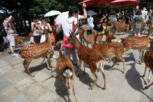 偷來的人生 产品图片