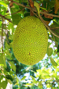 僵局救援 视频封面