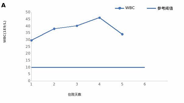 你好世界 视频封面
