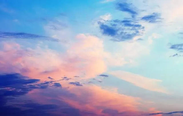 吾乃母親 视频封面