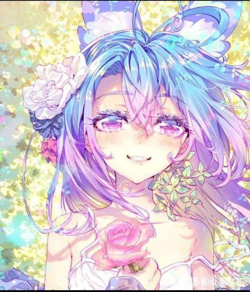 你好布拉德 视频封面