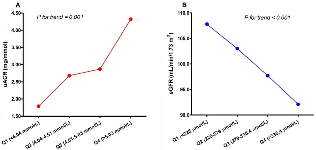 凱莉與凱爾 产品图片