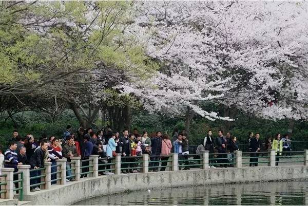 倚天屠龍記之聖火雄風 （粵語版） 视频封面