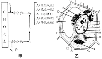 兄弟之義字當頭 产品图片