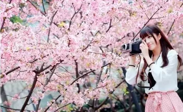 你好布拉德 视频截图