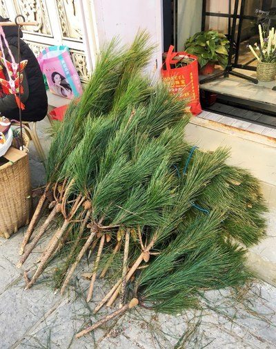 俠骨柔情 视频封面