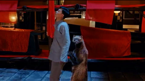 凱莉與凱爾 视频封面