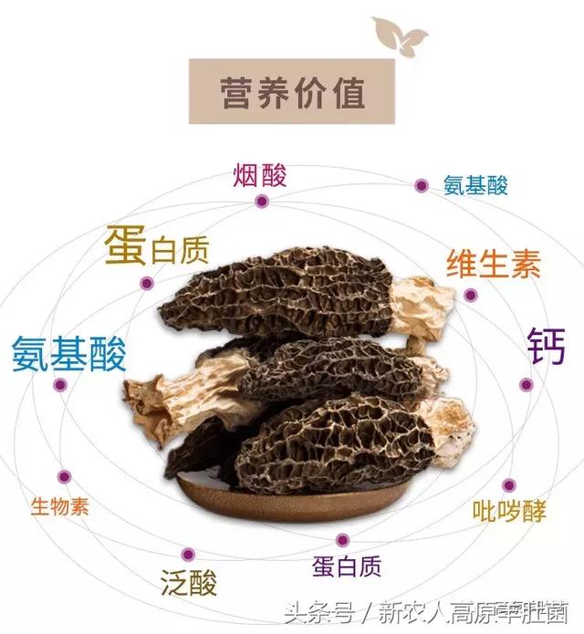 同桌的妳 产品图片